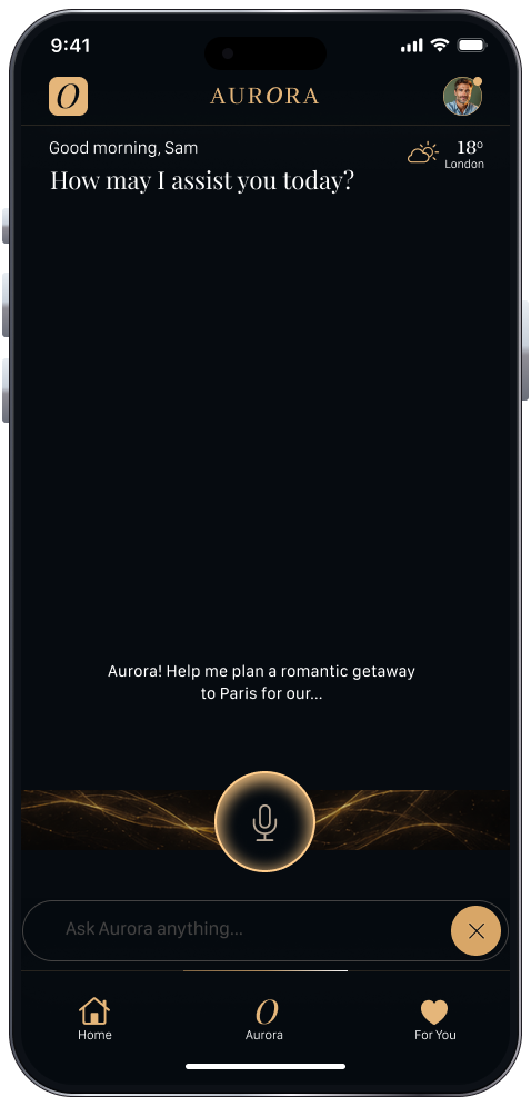 Aurora voice input screen